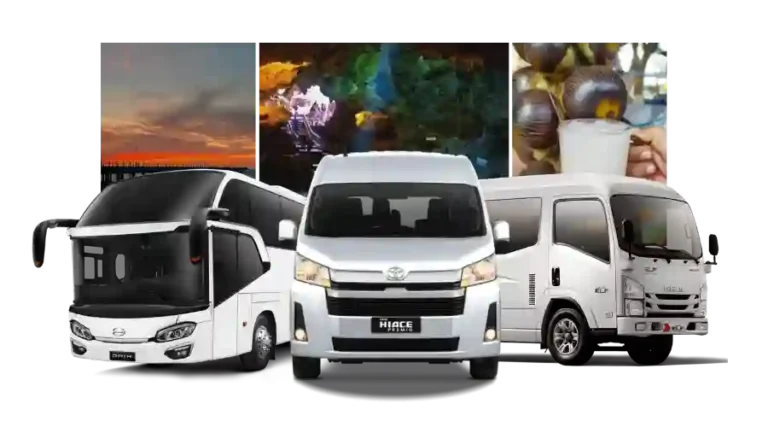 Sewa Bus Tuban Murah Medium Bus Harga Mulai 800 Ribuan